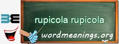 WordMeaning blackboard for rupicola rupicola